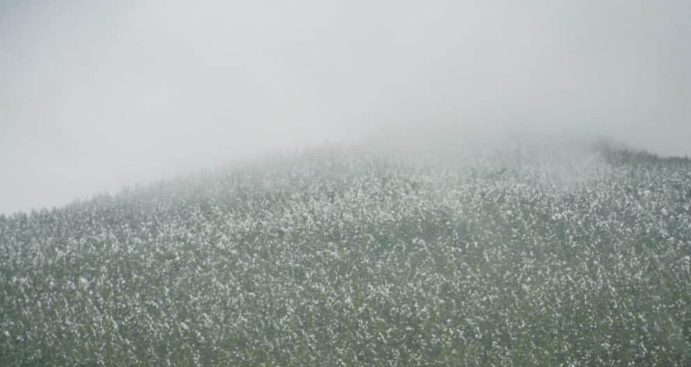 Өнөөдөр нутгийн зүүн хэсгээр хүйтэн, салхи шуургатай байхыг анхааруулж байна